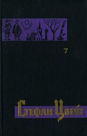 Том 7. Ромен Роллан. Воспоминания о Эмиле Верхарне. Встречи с людьми, городами, книгами - Цвейг Стефан