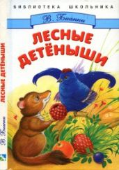 Лесные детёныши - Бианки Виталий Валентинович