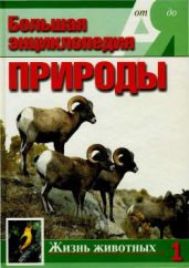 Т. 1. Жизнь животных А-И - Потт Эккарт