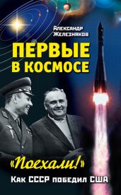 «Поехали!» Мы – первые в космосе - Железняков Александр Борисович