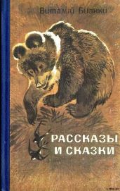 Рассказы и сказки - Бианки Виталий Валентинович