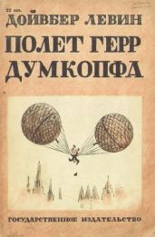 Полет герр Думкопфа - Левин Дойвбер