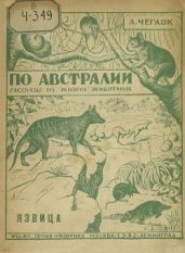 Язвица - Чеглок А.