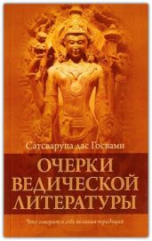 Очерки ведической литературы