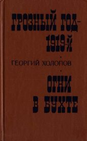 Грозный год - 1919-й. Огни в бухте - Холопов Георгий Константинович
