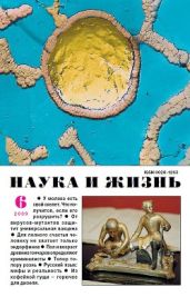 Журнал "Наука и Жизнь" 2009 №6 - Журнал Наука и Жизнь