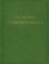 Мшанки, брахиоподы, форониды