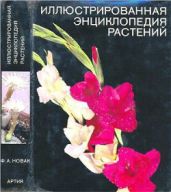 Иллюстрированная энциклопедия растений - Новак Ф. А.