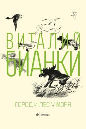Город и лес у моря (сборник) - Бианки Виталий Валентинович