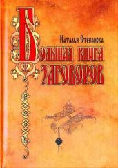 Большая книга заговоров - Степанова Наталья Ивановна