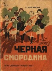 Черная смородина - Воронкова Любовь Федоровна