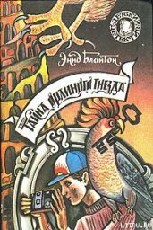 Тайна орлиного гнезда - Блайтон Энид