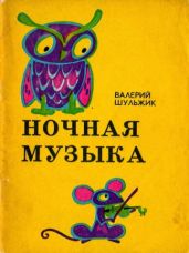 Ночная музыка - Шульжик Валерий Владимирович