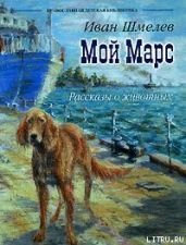 Мой Марс - Шмелев Иван Сергеевич