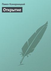 Открытие - Комарницкий Павел Сергеевич