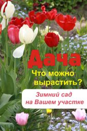 Что можно вырастить? Зимний сад на вашем участке - Drongelen Wim Van