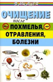 Очищение после похмелья, отравления, болезни - Ингерлейб Михаил Борисович