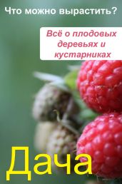 Что можно вырастить? Всё о плодовых деревьях и кустарниках - Drongelen Wim Van