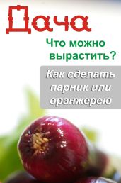 Что можно вырастить? Как сделать парник или оранжерею - Drongelen Wim Van