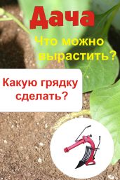 Что можно вырастить? Какую грядку сделать? - Drongelen Wim Van