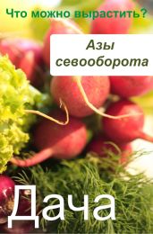 Азы севооборота. Что можно вырастить? - Drongelen Wim Van