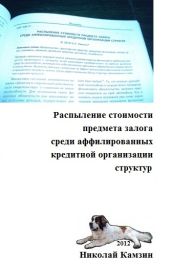 Распыление стоимости предмета залога среди аффилированных кредитной организации структур - Камзин Николай