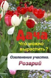 Что можно вырастить? Озеленение участка. Розарий - Drongelen Wim Van