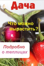 Что можно вырастить? Подробно о теплицах - Drongelen Wim Van
