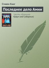 Последнее дело Амни - Кинг Стивен