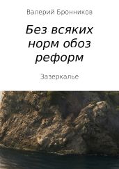 Вне всяких норм обоз реформ, или Зазеркалье - Бронников Валерий Викторович