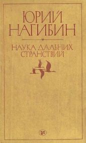 Еще раз о бое быков - Нагибин Юрий Маркович