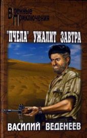 Ключ святого Петра - Веденеев Василий Владимирович