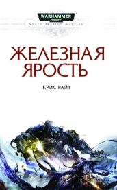 Железная ярость - Райт Крис