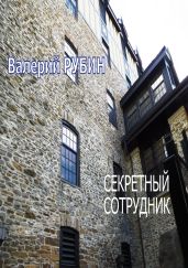 Секретный сотрудник - Рубин Валерий