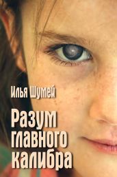 Разум главного калибра - Шумей Илья