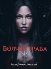 Волчья трава - Aston_Martin