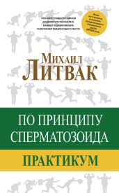 По принципу сперматозоида. Практикум - Литвак Михаил Ефимович