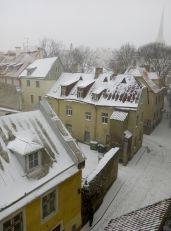 Лошадиная улыбающаяся голова. По С. Носову - Виноградова Маргарита Николаевна