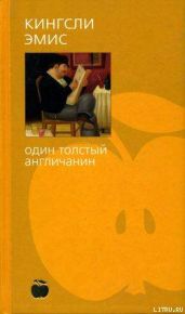 Один толстый англичанин - Эмис Кингсли