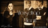 Mousetrap Heart