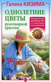 Однолетние цветы рукотворной красоты - Кизима Галина Александровна