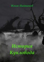 История Кукловода. Фантастический роман - Найманов Ильяс