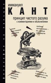 Принцип чистого разума. С комментариями и объяснениями - Кант Иммануил
