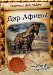 Дар Афины - Бочкин Владимир Викторович
