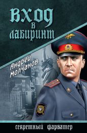 Вход в лабиринт - Молчанов Андрей Алексеевич