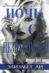 Ночь с незнакомцем. Часть 1 - Биварли Элизабет