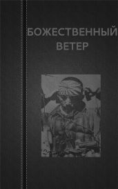 Божественный ветер - Астанин Вадим