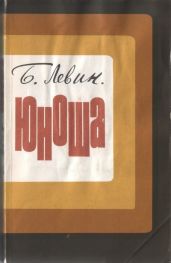 Юноша - Левин Борис Наумович