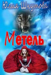 Метель - Шкутова Юлия