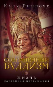 Совершенный буддизм. Жизнь, достойная подражания - Ринпоче Калу